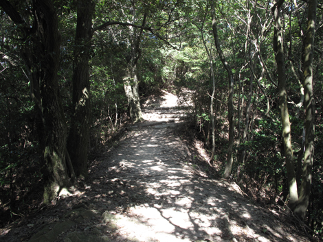 20140922hike (261)